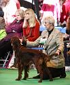 Crufts2010 1119